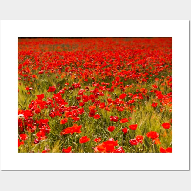 Poppies field Wall Art by Nicomaja